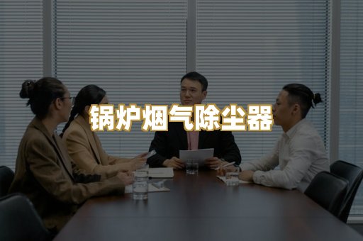 锅炉烟气除尘器