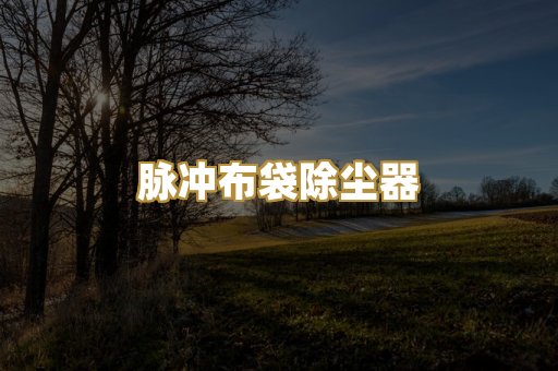 脉冲布袋除尘器